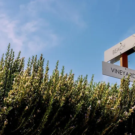 別荘 Mikra Bay Vineyard