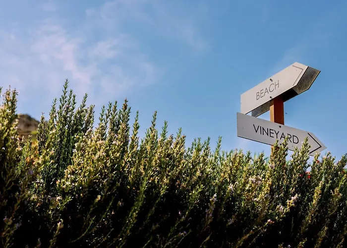 Holiday home Mikra Bay Vineyard