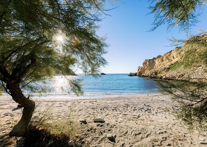 Mikra Bay Vineyard Faneromeni (Naxos)